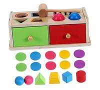 Parliky Montessori in Legno Geometriche e Colori Scatola Apprendimento e Abbinamento per Sviluppo Motorio Fine e Riconoscimento Colori per Casa e Scuola