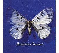 Guccini Francesco - Parnassius Guccinii