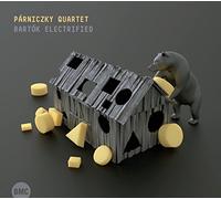 Parniczky Quartet - Bartok Electrified