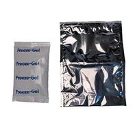 PARODI & PARODI - Kit Ghiaccio Gel Riutilizzabile e Sacchetto Termico per Alimenti Lavabile 20x25 - Set Gelo Borsa Termica Piccola Busta in Alluminio per Medicinali e Cibi Freschi e Bustina Ghiacciolo