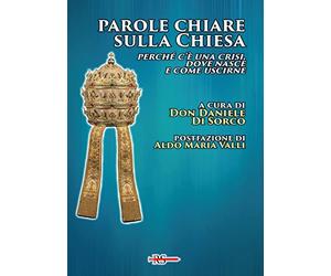Parole chiare sulla Chiesa. Perché c’è una crisi, dove nasce e come uscirne
