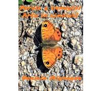 Parole e Immagini. Arte in simbiosi