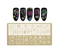 Parole Fiori Farfalla Unghie Piastra Timbro Acciaio Inox Stencil Accessorio Per Salone Professionale Casa Manicure Arte Fiori Farfalla Chiodo Sigillo