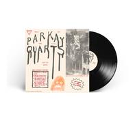 Parquet Courts Tally the Things That You Broke 12" EP