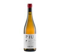 Parrona Bianco 'Piu' Anfora Tierra Savia 2022