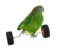 Parrot Balance Toy - 14 x 4,5 x 4,5 cmbird Arricchimento divertente, gioco interattivo con veicolo di equilibrio, attività di intelligenza per cockatiels Conures Shotets Pet Store Home Display