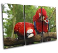 Parrot Bird Paradise Animals TREBLE TELA parete arte foto stampa