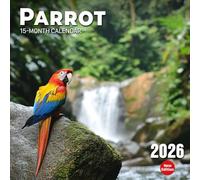 Parrot Calendar 2026: Tropical bursts of color and calls in exotic branches