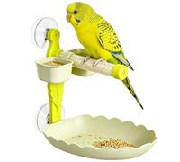 Parrot Perch Stand - Heavy Duty Suction-Cup Standing Resting with Feeding | Reliable Window Bird Perch, Parrot Play Stand For Garden Yard Deck Ground Tree Outdoor Outside