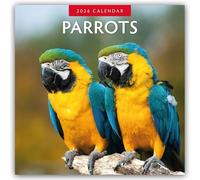 Parrots - Papageien 2026 - 16-Monatskalender: Original Red Robin Publishing Ltd-Kalender [Mehrsprachig] [Kalender]