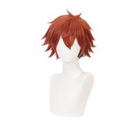 Parrucca anime cosplay Parrucca Ass Trappola Twisted Wonderland Cosplay Uomo Parrucca corta arancione Cosplay Anime Cosplay Parrucche sintetiche resistenti al calore