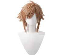 Parrucca anime Sora Cosplay per Kingdom Hearts, parrucca corta marrone, costume di Halloween, per feste, spettacoli di anime, cosplay, concerti, parrucca quotidiana (taglia: stile B)