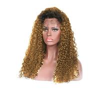Parrucca Bionda Riccia Parrucche Anteriori In Pizzo Sintetico Per Donne E Ragazza Parrucche Anteriori In Pizzo A Due Colori Parrucca Per Capelli Sintetici Parrucche Grigie Per Le Donne (Onecolor 22 P