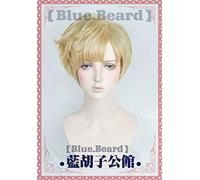 Parrucca + cappuccio parrucca cosplay sintetico per capelli sintetico resistente al calore bionda per capelli da marinaio Moon Sailor Cosplay Urano Tenoh Haruka