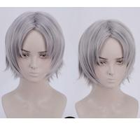 Parrucca corta cosplay Devil May Cry 5 Dante grigio grigio grigio parrucca pe...
