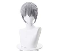Parrucca corta da frutta anime Soma Souma Yuki Parrucca corta grigia Costume cosplay Resistente al calore Capelli sintetici Parrucche da uomo per feste