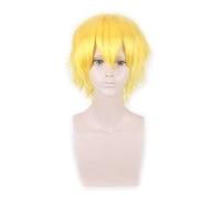 Parrucca corta Oro giallo Grigio Blu Marrone Vino Rosso Arancione Fibre sintetiche ad alta temperatura Parrucche Cosplay Parrucca da festa PL-002-38