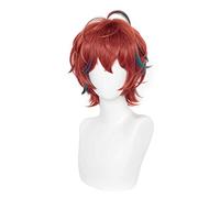 Parrucca Cosplay Anime Division Rap Battle Doppo Kannonzaka Parrucca,Red gradient short Parrucca Cosplay,Con rete per parrucca gratuita,per Festa Carnevale Halloween Cosplay Parrucca(Size:Style 2)