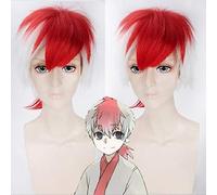 Parrucca cosplay anime Hoozuki no Reitetsu per uomo festa corta 30 cm bianco misto rosso parrucche sintetiche per capelli cosplay + parrucca parrucca Hoozuki no Reitetsu PL-326