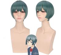 Parrucca cosplay Anime Watashi ga Motete Dousunda Shima Nishina Capelli sintetici Kiss Him Not Me Cosplay parrucche verdi + cappuccio parrucca Taglia unica PL-710 PARIGI
