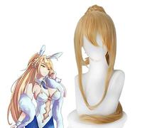 Parrucca Cosplay Artigianale Lancer Arturia Pendragon Parrucca Destino/Grande Ordine Parrucca Capelli Coda Dorata Parrucca FGO Costume Parrucche