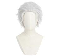 Parrucca Cosplay Da Uomo Per Emiya Capelli Corti Argento Affettato Indietro Capelli Parrucca Corta Halloween Costume Partito Film Parrucche