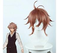 Parrucca Cosplay Fate/Apocrypha Sieg Capelli castani sintetici resistenti al calore corti di alta qualità per parrucche da festa in costume anime KUZ235H