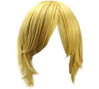 Parrucca cosplay, Parrucca, ornamenti e indumenti for cosplay non inclusi