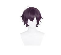 Parrucca Cosplay, Parrucche Party, Parrucca Fancy Parrucca Parrucche Sintetiche Parrucche Nere Viola 30cm Corte Lisce Uomini Parrucche Resistenti al Calore