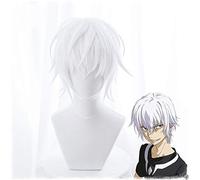 Parrucca Cosplay Toaru Majutsu No Index Accelerator per uomo Ragazzi 30 cm Parrucca corta diritta Anime Parrucca bianca resistente al calore Capelli sintetici Acceleratore