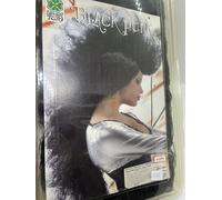 PARRUCCA LORD CAVALIERE GRIGI CARNEVALE COSPLAY PARTY MASCHERA CONTE DUCA CASTEL