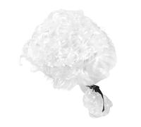 Parrucca Da Avvocato Parrucca Da Giudice Da Carnevale Da Avvocato Con Coda Di Cavallo Da Giudice Per Cosplay Da o Da