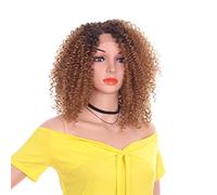 Parrucca Da Donna Per Capelli Corti Ricci Stile Africano, Molto Adatta Per Tipi Di Pelle Scura Realizzati Con Capelli Sintetici, La Resistenza Al Calore È Una Densità Del 150% Adatta Per Parrucche Pe