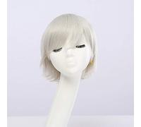 Parrucca da uomo corta sintetica economica RTGFS Fahion Bianco Viola Blu Giallo Nero Argento Grigio Verde Rosso Parrucche Cosplay anime Per feste 30cm argento