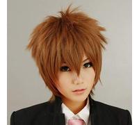 Parrucca di costume cosplay Katekyo Hitman Reborn Sawada Tsunayoshi capelli sintetici marroni mostrano l'immagine
