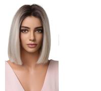 Parrucca Donna Parrucca bionda Ombre for donna Breve rettilineo Biondo marrone Mette in risalto i capelli Parrucche for appuntamento quotidiano Parte centrale(Wig LC2012-1)