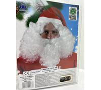 PARRUCCA LORD CAVALIERE GRIGI CARNEVALE COSPLAY PARTY MASCHERA CONTE DUCA CASTEL