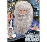 PARRUCCA E BARBA MAGO COLORE GRIGIO