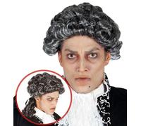 Parrucca grigia con boccoli per travestimento gotico vampiro settecento