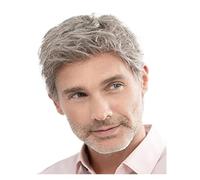 Parrucca grigia corta da uomo - Capelli sintetici naturali a strati per cosplay