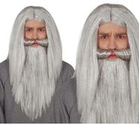 Parrucca lunga e barba grigia mago stregone
