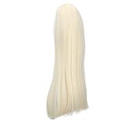 Parrucca per bambola da 1/3 Parrucca sostitutiva per capelli lunghi dritti in fibra resistente al calore per bambole fai-da-te Styling da 8 a 9 pollici Tessitura morbida Filato (Oro chiaro)