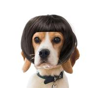 Parrucca Per Cani,Capelli Falsi Con Regolazione Regolabile E Frangia | Parrucca Cosplay Per Gatti, Per Halloween Natale Vacanze Fotografia Decorazione Abbigliamento Casual Quotidiano