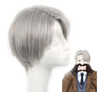 Parrucca per cosplay anime gioco cosplay parrucca da uomo grigio argento capelli corti con parrucca per Halloween, feste quotidiane, carnevale, vita notturna, concerti, matrimoni
