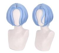 Parrucca per cosplay anime Sk. Langa Cosplay Parrucca gradiente blu corto dritto centrale mullet capelli resistente al calore SK8 L'infinito Sk. otto+parrucca cappuccio