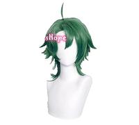 Parrucca per cosplay anime SK8 The Infinity Cosplay Joe Cosplay 47 cm Parrucca per capelli verde Cosplay Anime Cosplay Parrucche sintetiche resistenti al calore Halloween