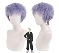 Parrucca per oggetti di scena abbinati modellazione svastica / Road to Rebirth Takashi Mitani Mix Grigio Blu Viola Rotto Capelli Corti Cos Parrucca