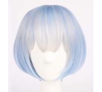 Parrucca per ragazze anime Re: Zero Inizia la vita in un altro mondo Parrucca cosplay Ram & Rem Costume cosplay Gioca parrucche sorelle con forcine Parrucca blu taglia unica