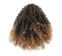 Parrucca riccia con coda di cavallo Capelli sintetici ad alta temperatura con coulisse elastica con 4 pettini nascosti Design senza grovigli Facile indossare per le donne