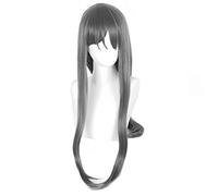 Parrucca Sakurajima Mai Anime Seishun Buta Yarou Wa Bunny Girl Senpai No Yume Wo Minai Cosplay Parrucca Sintetica Per Capelli Lunghi Grigi Da Donna